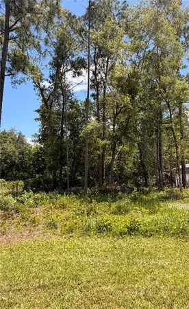 $55,000 | 6327 Fig Avenue, Webster, FL 33597