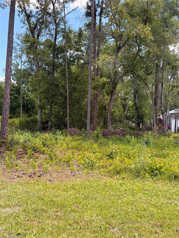 6327 Fig Avenue Webster, FL 33597 - Photo 2 of 2