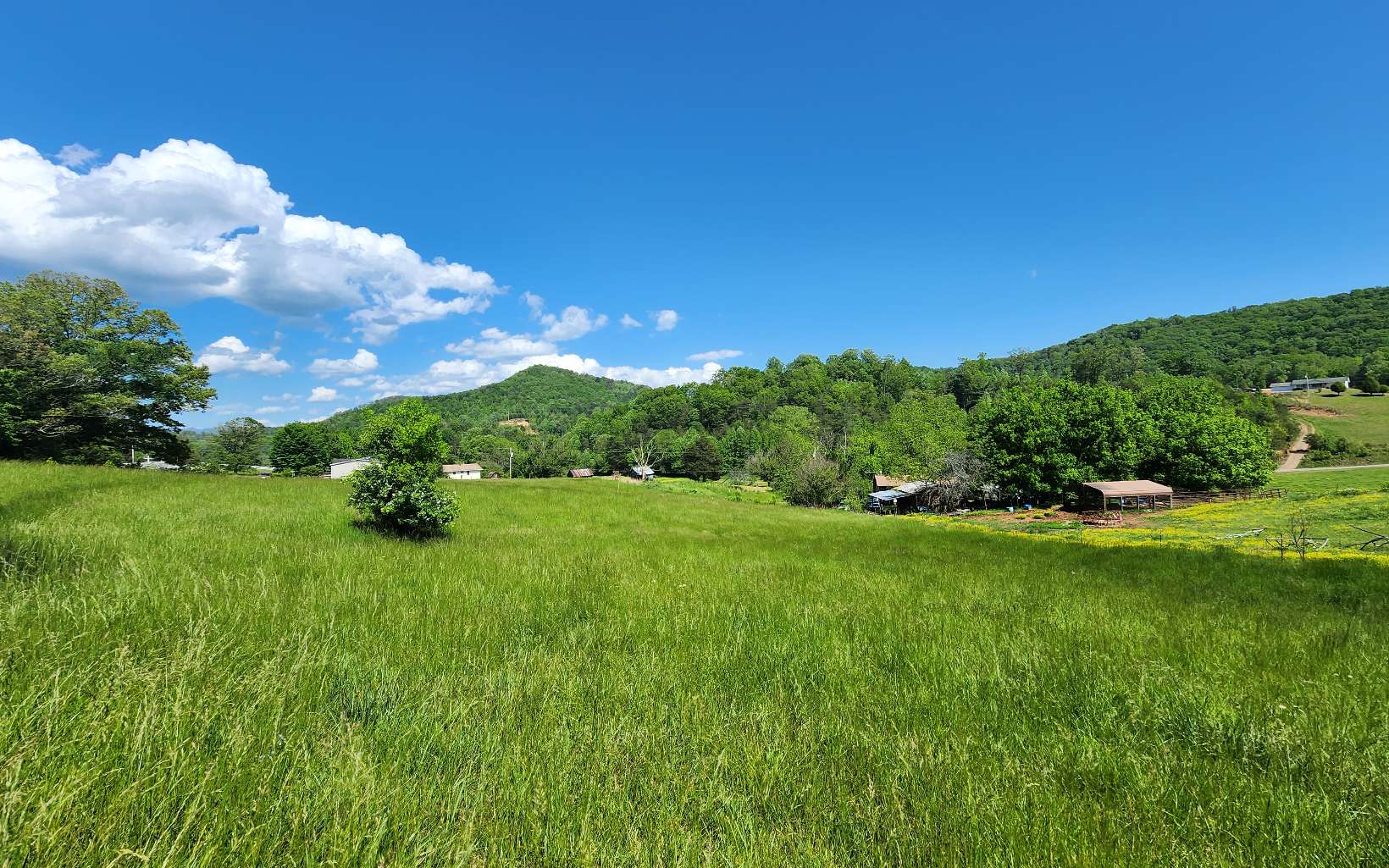 Carter Cove Road Hayesville, NC 28904 - Photo 8 of 13 Additional View