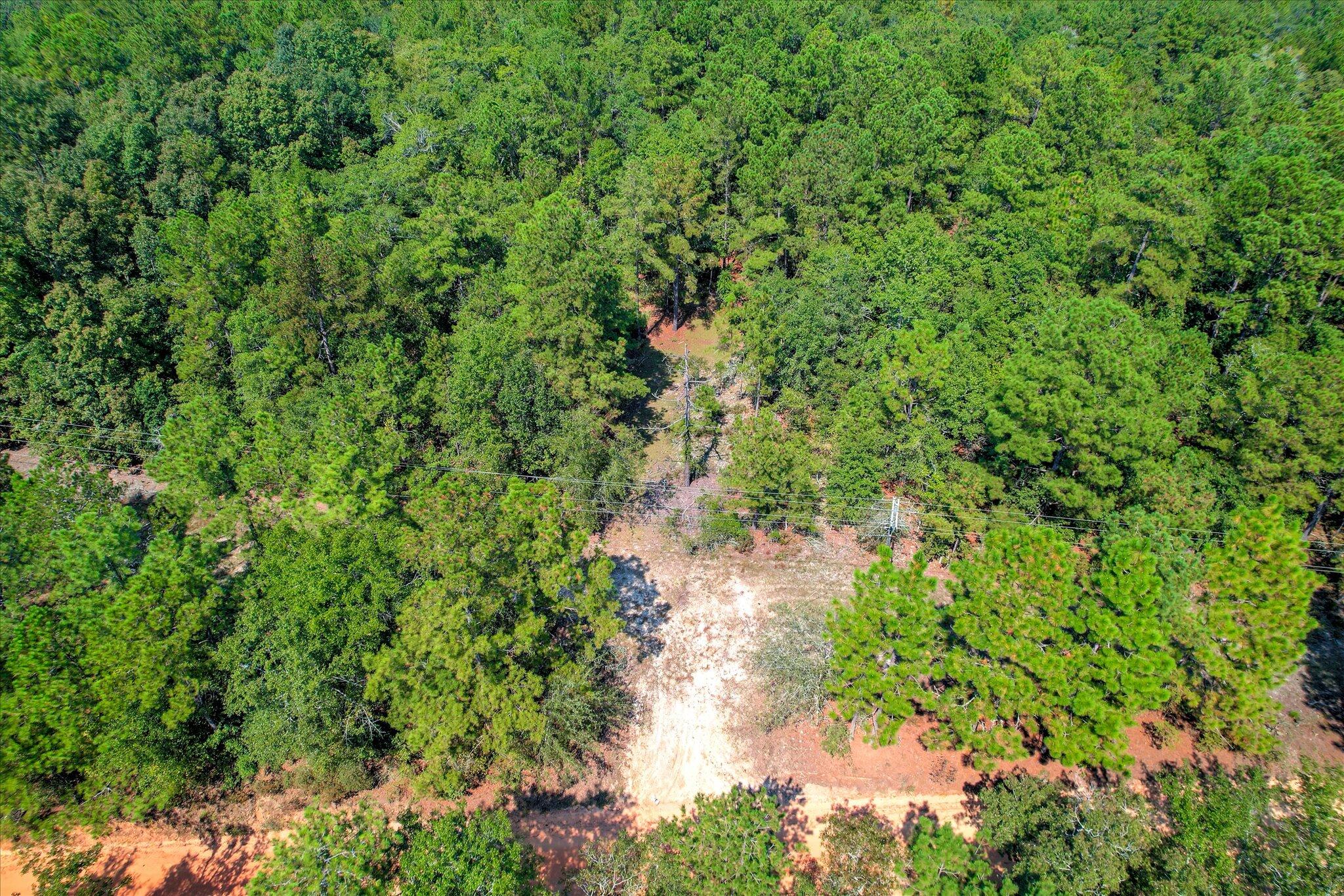 001 A Centerwood Road Williston, SC 29853 - Photo 15 of 19