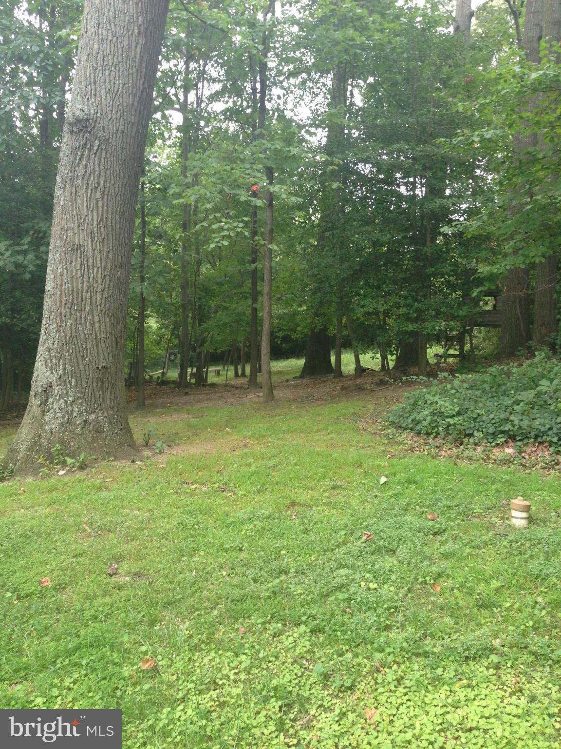 975 Shore Acres Road Arnold, MD 21012 - Photo 17 of 17 Exterior (Rear)