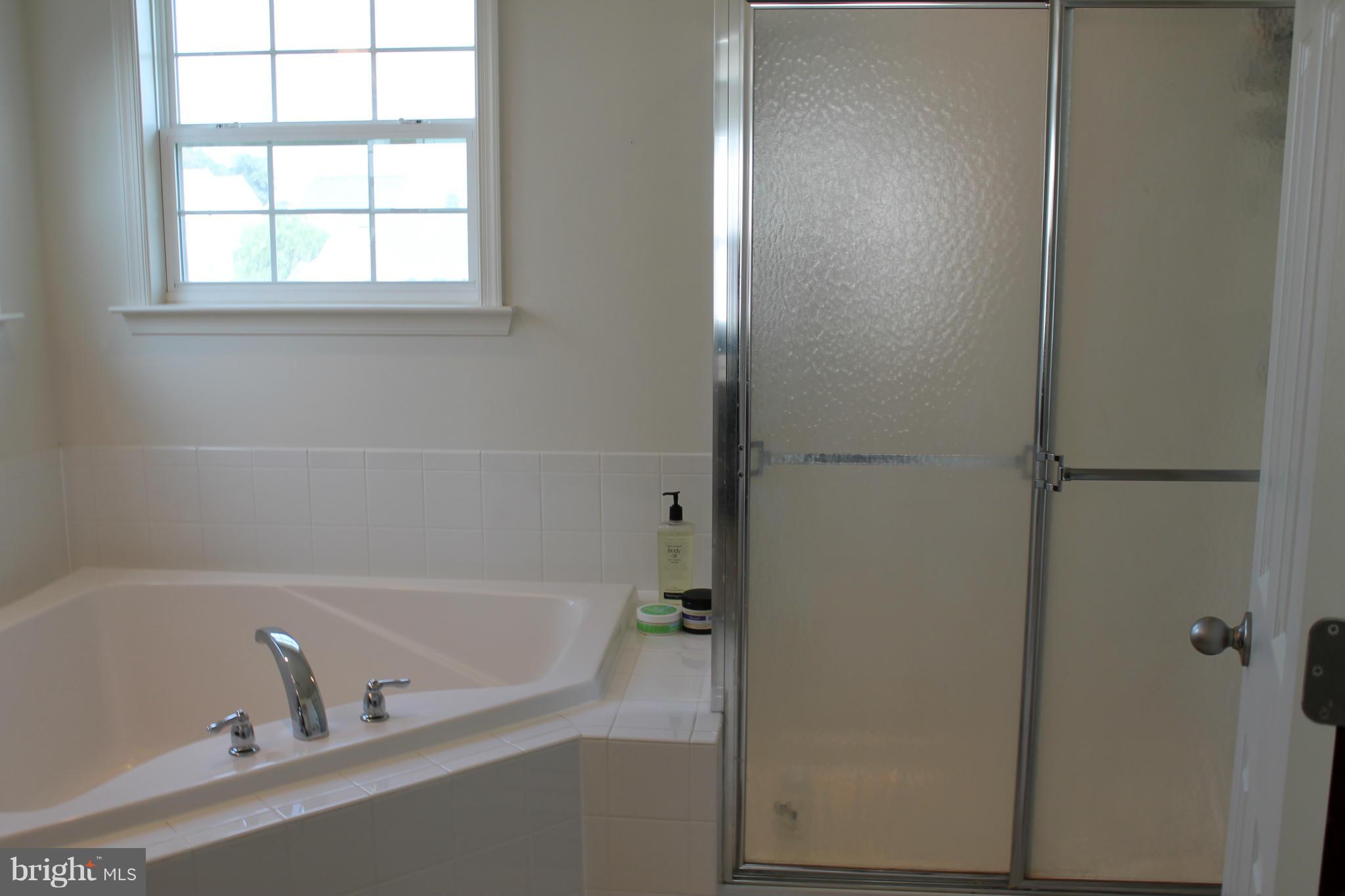 62 Shelby Road Inwood, WV 25428 - Photo 16 of 30 Bath (Master)