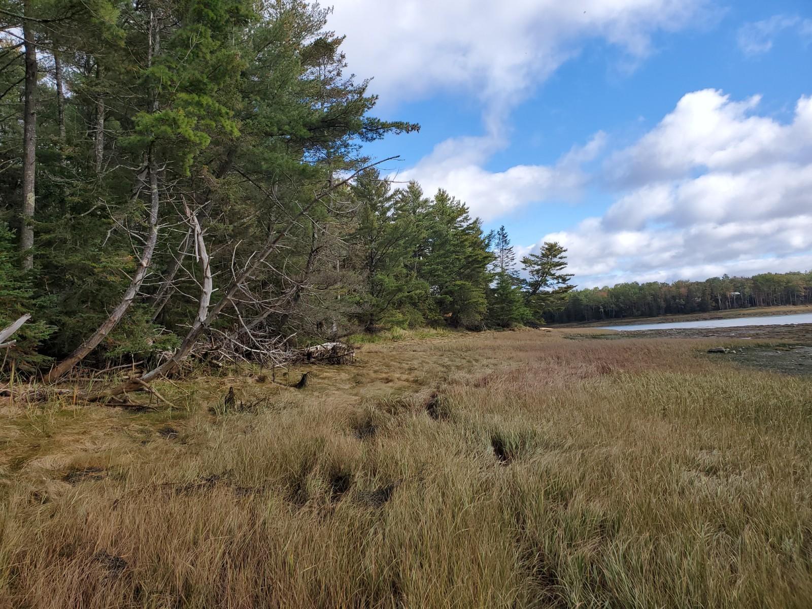L13 Old County Road Pembroke, ME 04666 - Photo 11 of 11 20201003_102435