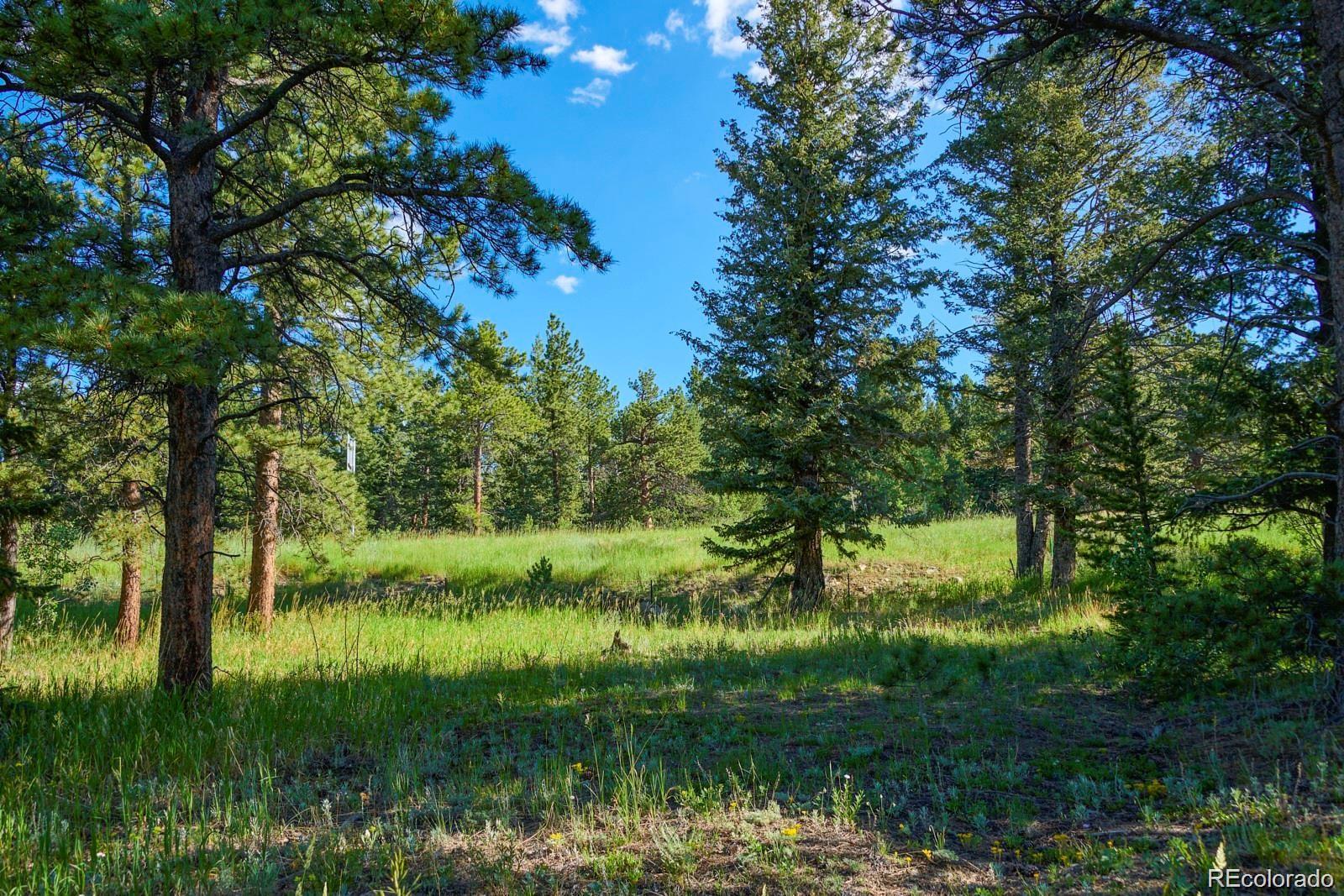 103 Juniper Road Black Hawk, CO 80422 - Photo 1 of 23 a view of a green field with plants and large trees