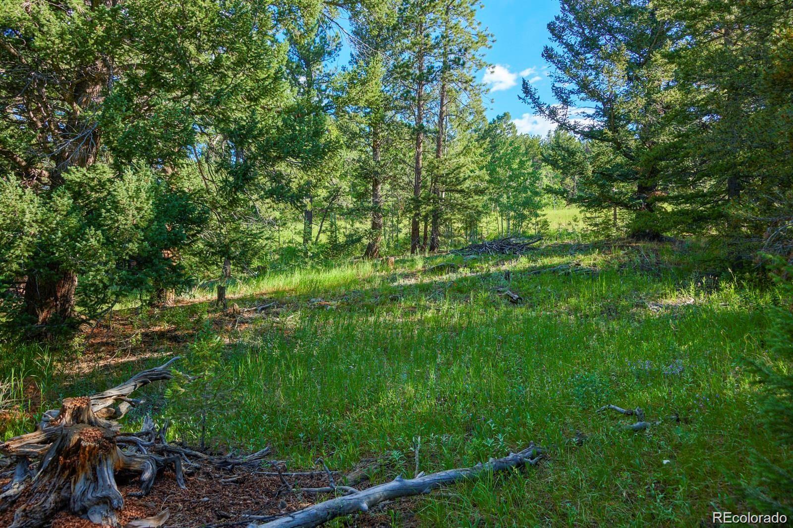103 Juniper Road Black Hawk, CO 80422 - Photo 2 of 23