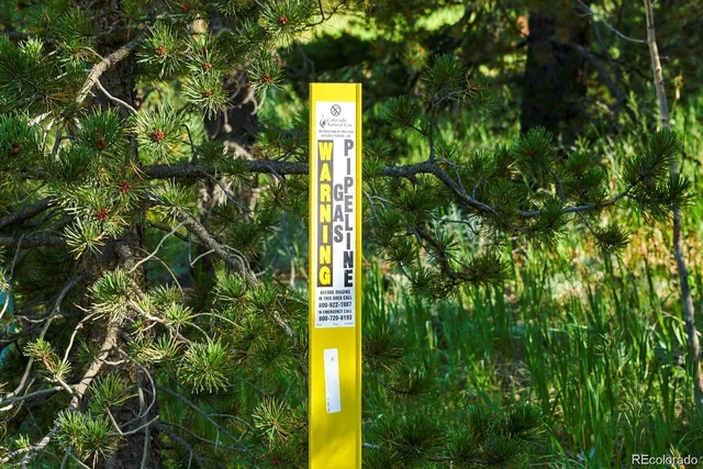 a sign on the side of the tree