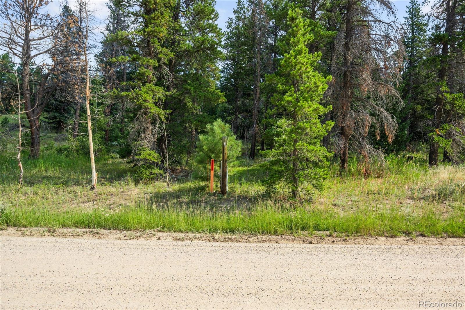 103 Juniper Road Black Hawk, CO 80422 - Photo 4 of 23 a view of a yard and a road
