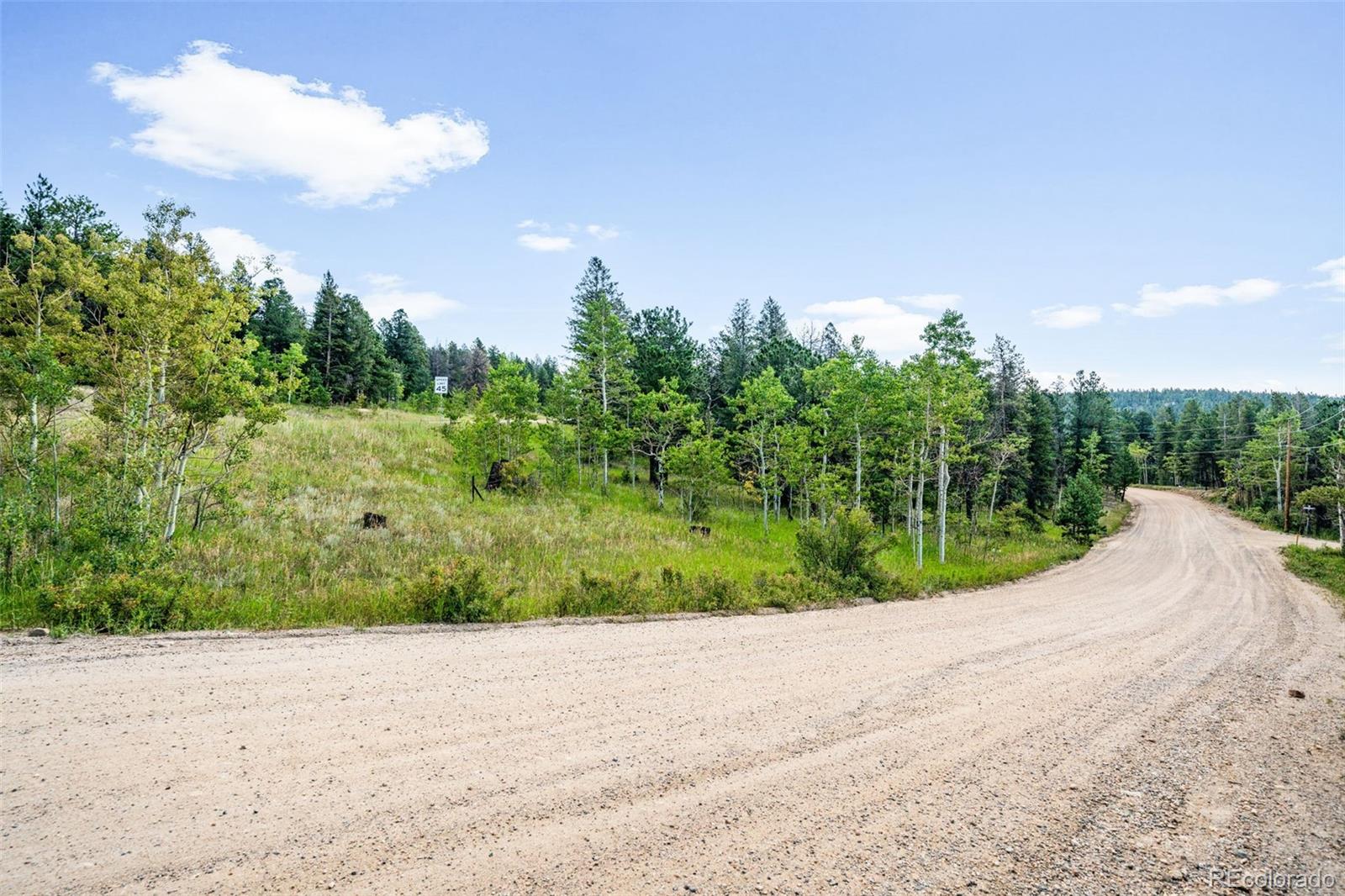 103 Juniper Road Black Hawk, CO 80422 - Photo 6 of 23 a view of a garden
