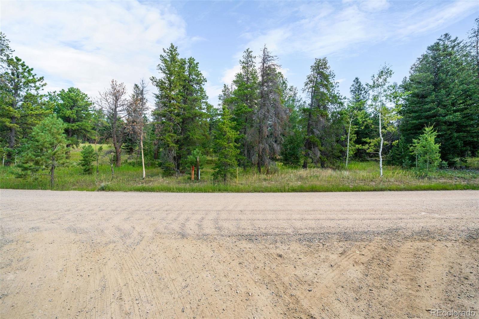 103 Juniper Road Black Hawk, CO 80422 - Photo 7 of 23 a view of a road with a yard
