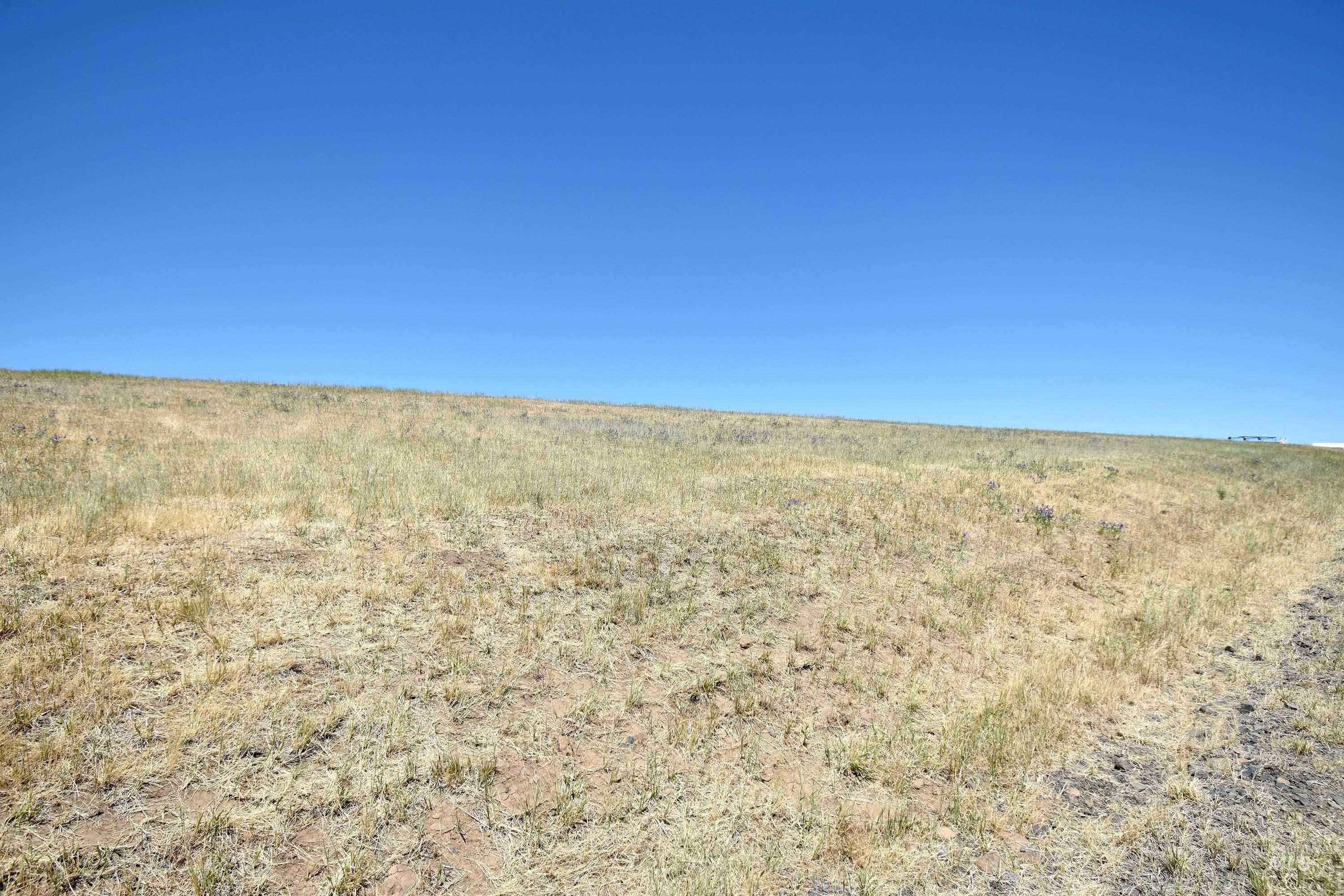 0 Spur Road Genesee, ID 83832 - Photo 20 of 21