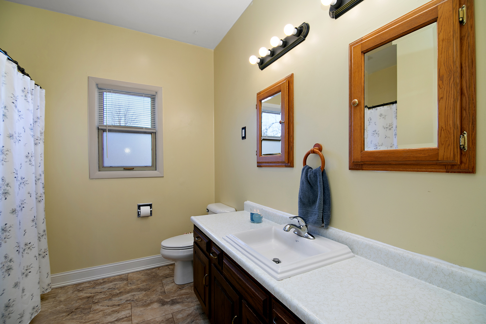123 Crescent Lane Cabery, IL 60919 - Photo 17 of 22 a bathroom with a sink vanity mirror and toilet