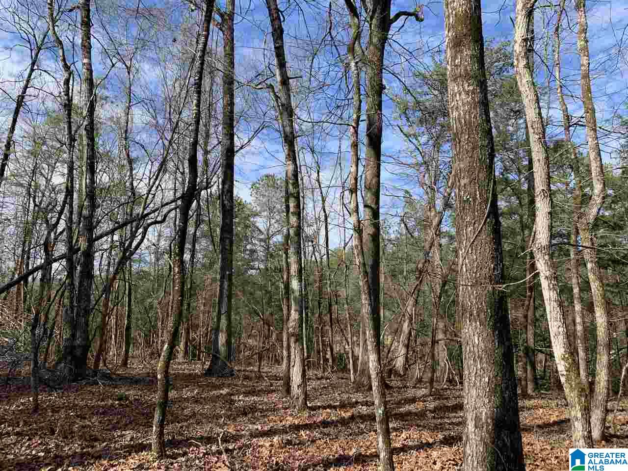 0 County Road 16 Calera, AL 35040 - Photo 7 of 22