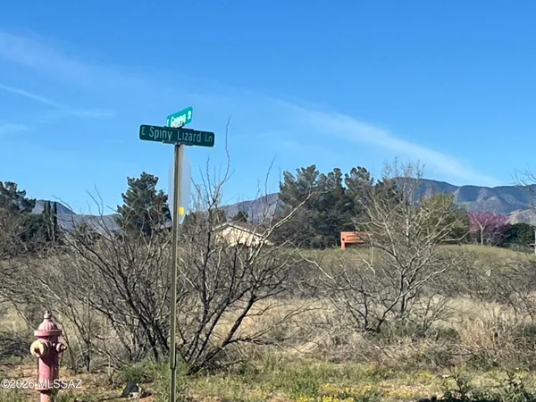 $11,600 | East Geneva Street, Unit 1, Pearce, AZ 85625