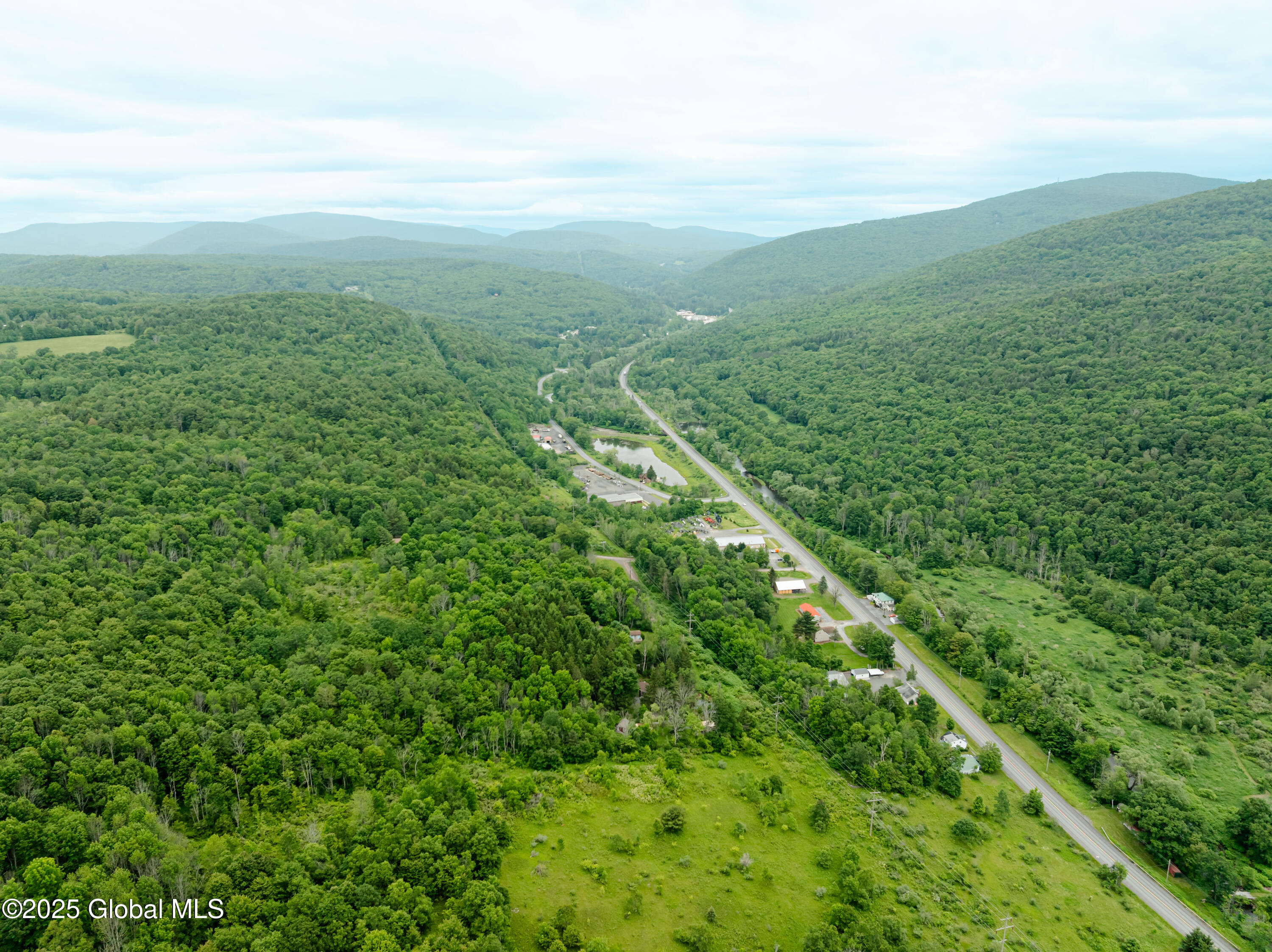 117 Kleis Road Fleischmanns, NY 12430 - Photo 32 of 34 KleisSpurRd-2