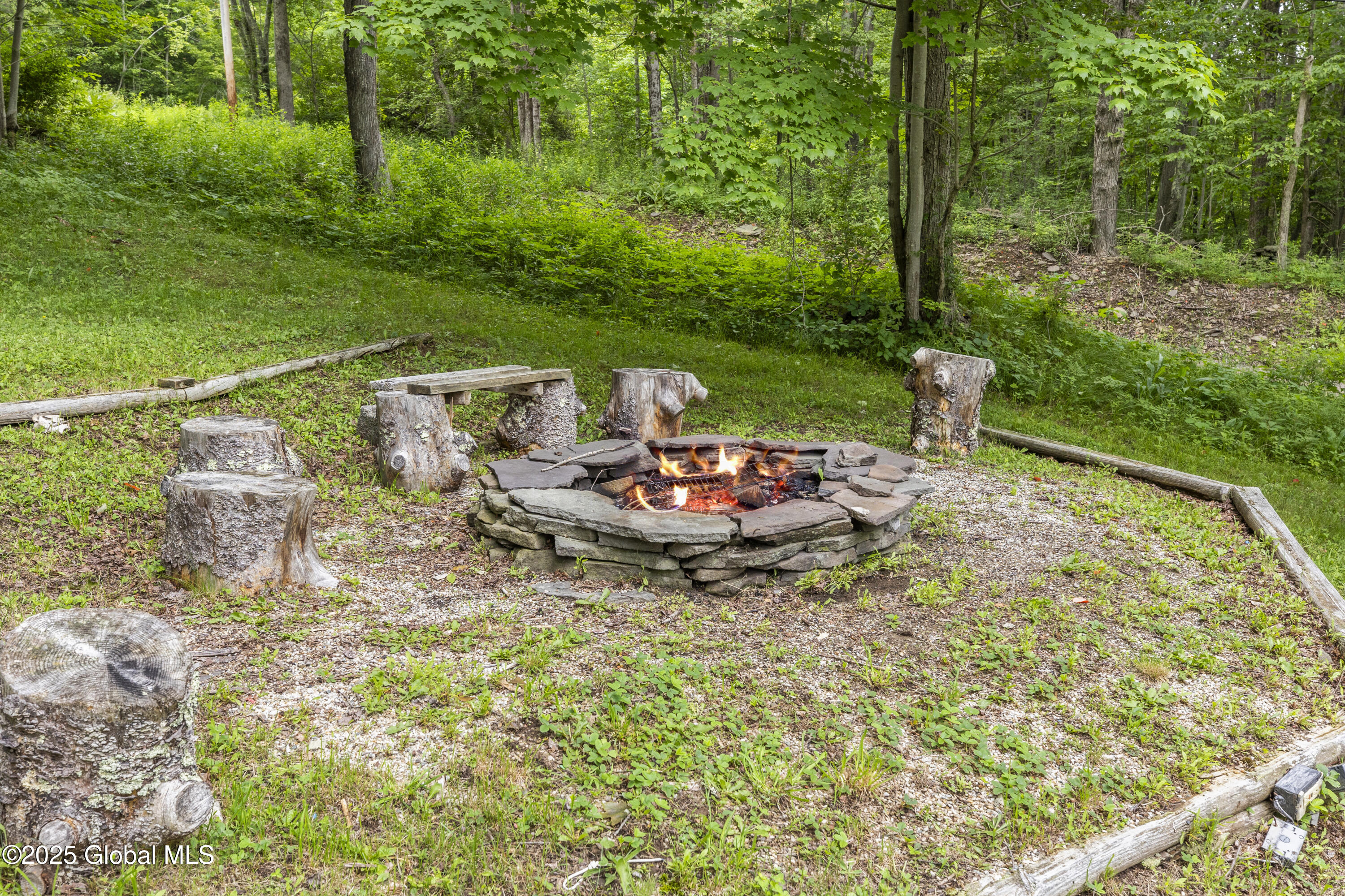 117 Kleis Road Fleischmanns, NY 12430 - Photo 5 of 34 117Kleis(3)