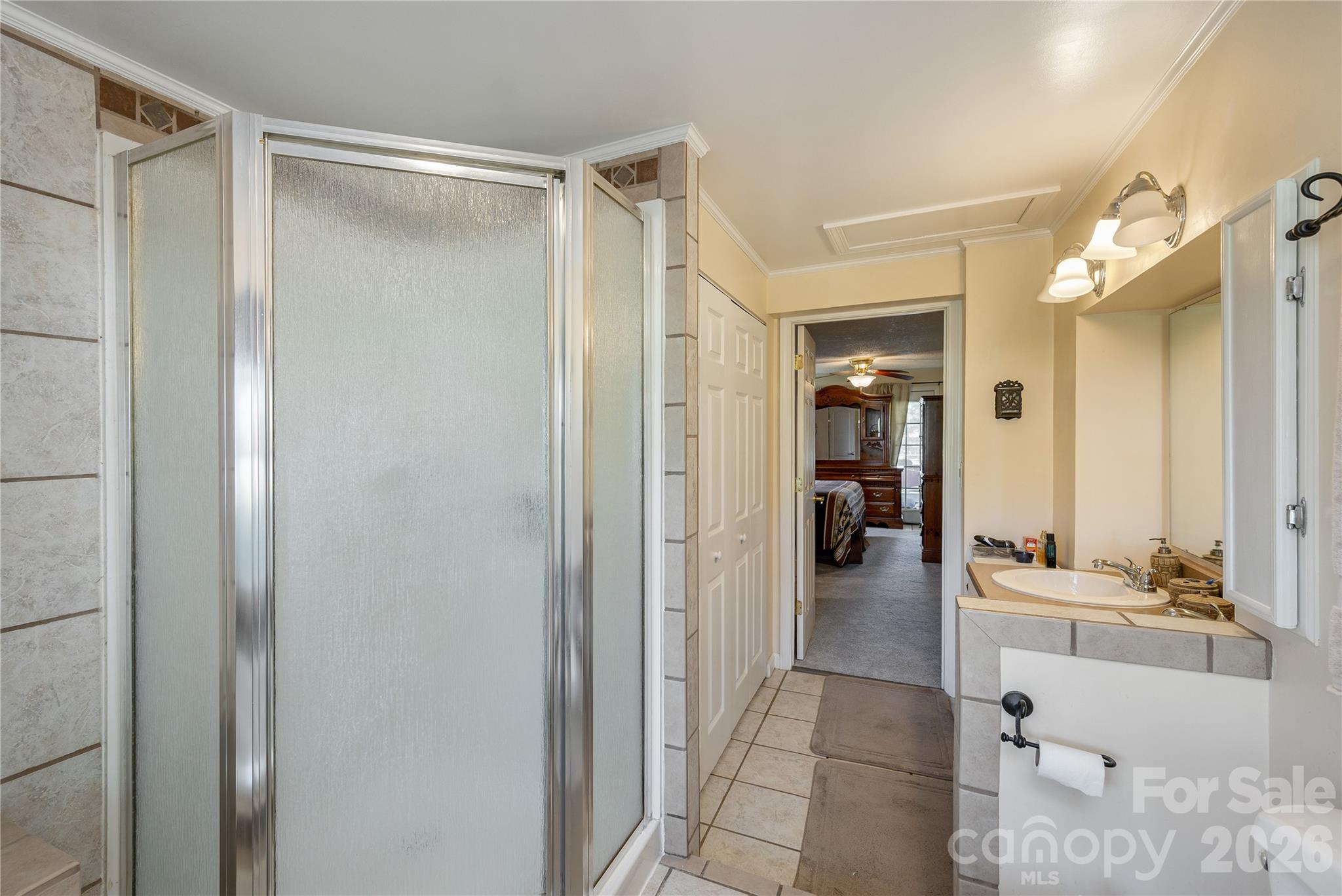 231 Allen Road East Flat Rock, NC 28726 - Photo 22 of 42 a bathroom with a shower and a sink