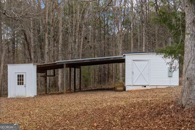 a picture of plants with large trees