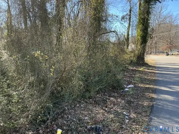 a view of a yard with a tree