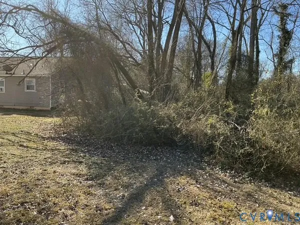 a view of a yard with plants and trees
