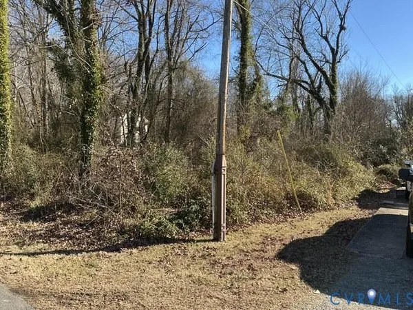 a view of a yard with trees in the background