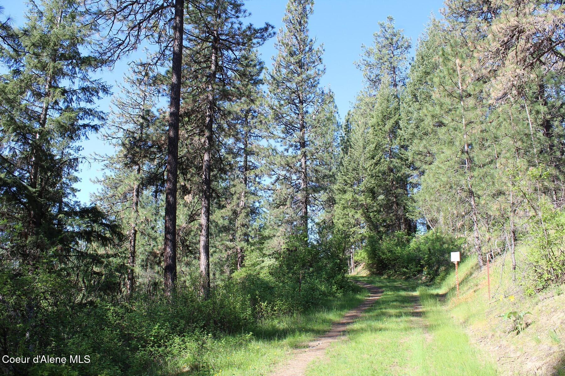 881-2714 South Allen Road Coeur D'Alene, ID 83814 - Photo 36 of 54 Allen Private Driveway Eastline