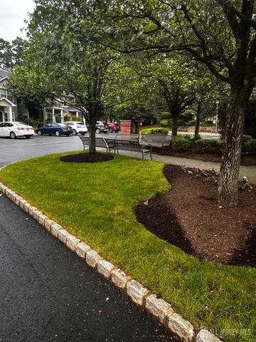 a view of a park with large trees