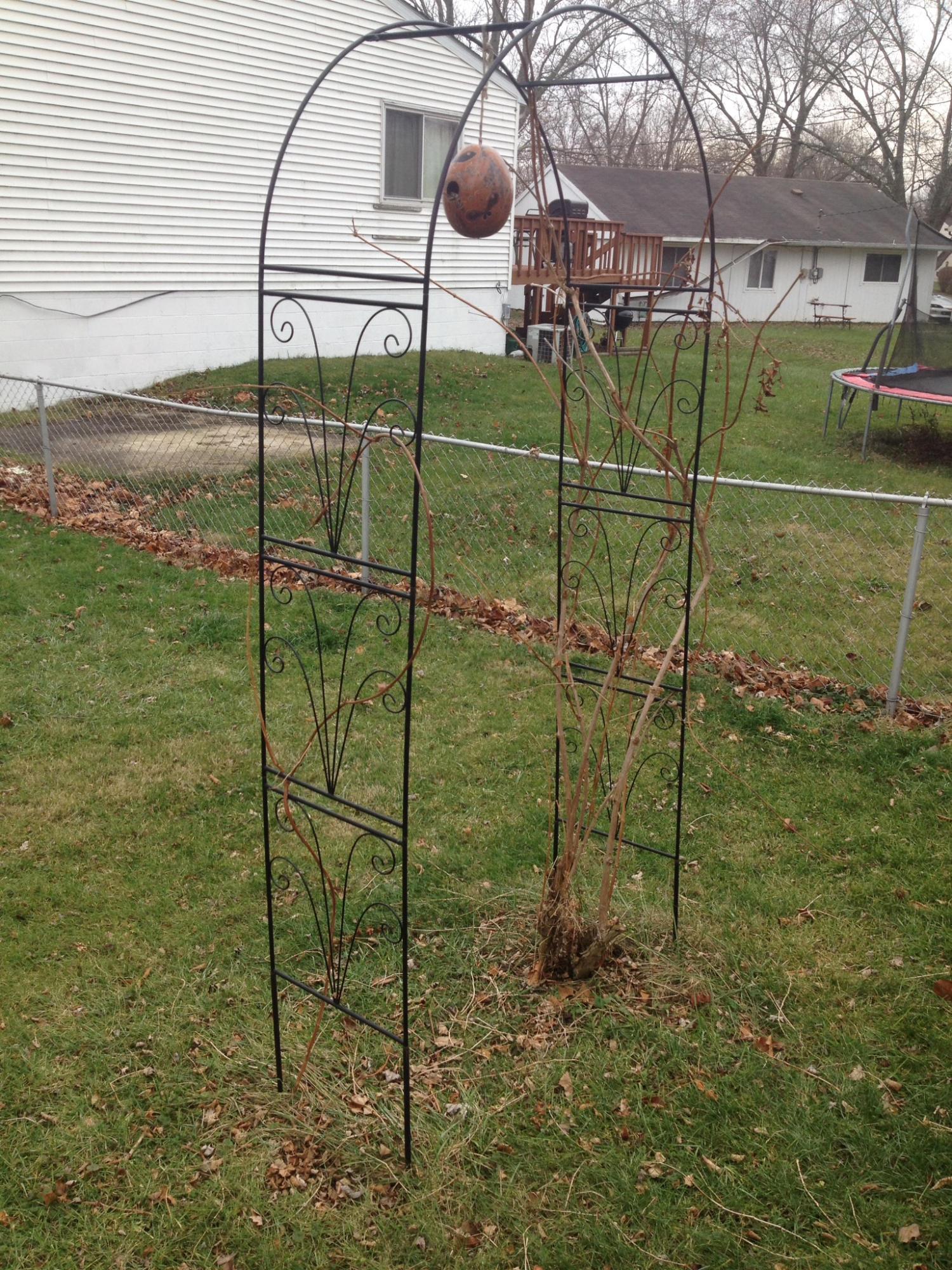 203 Hawthorne Road Sunbury, OH 43074 - Photo 32 of 37 Gallery Image 32