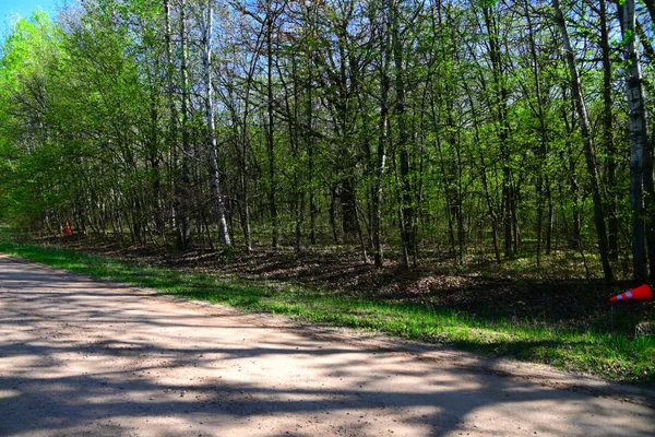 $25,500 | 28329 Orchard Drive, Browerville, MN 56438