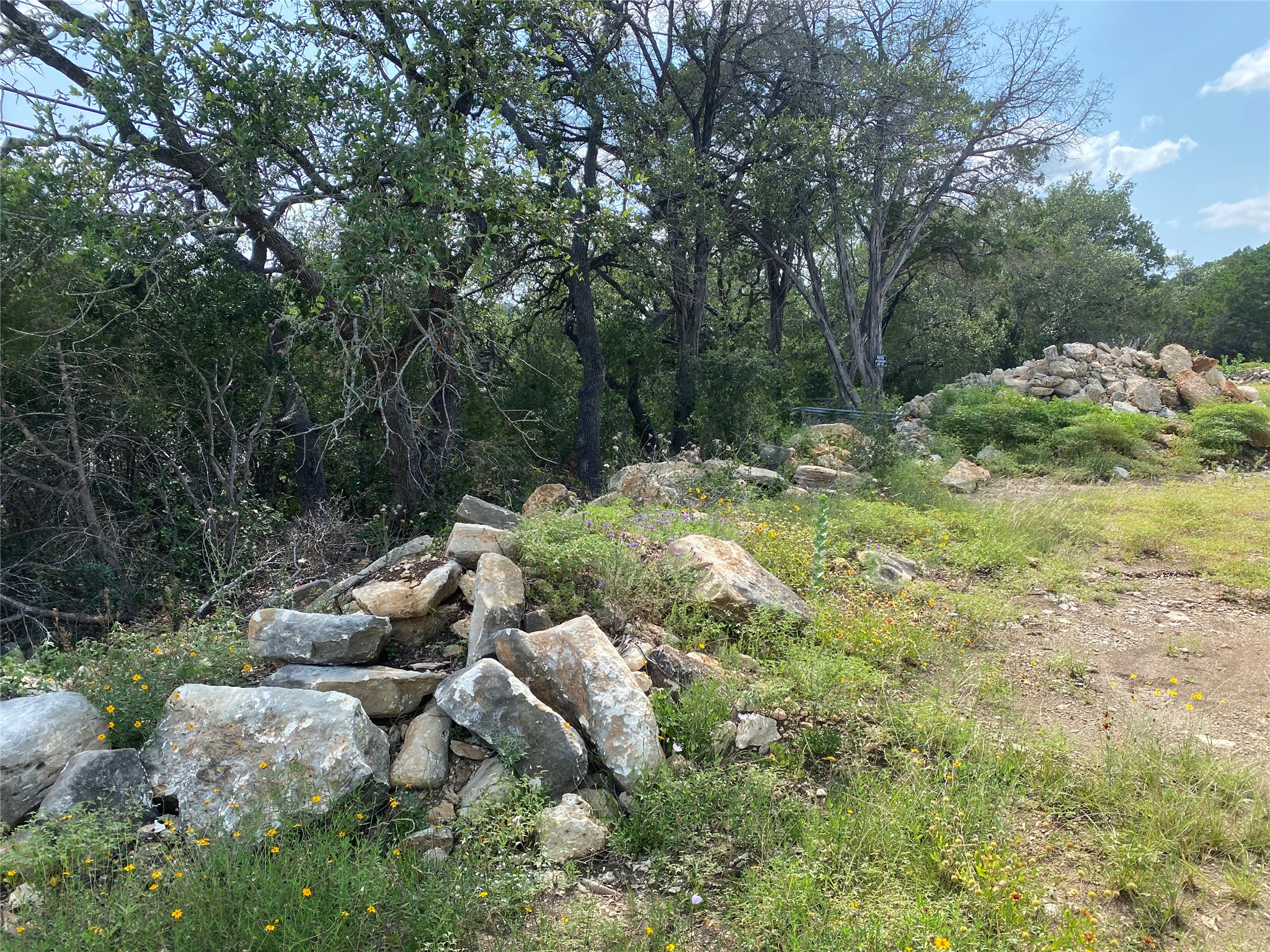 A promising build site awaits amidst mature trees.