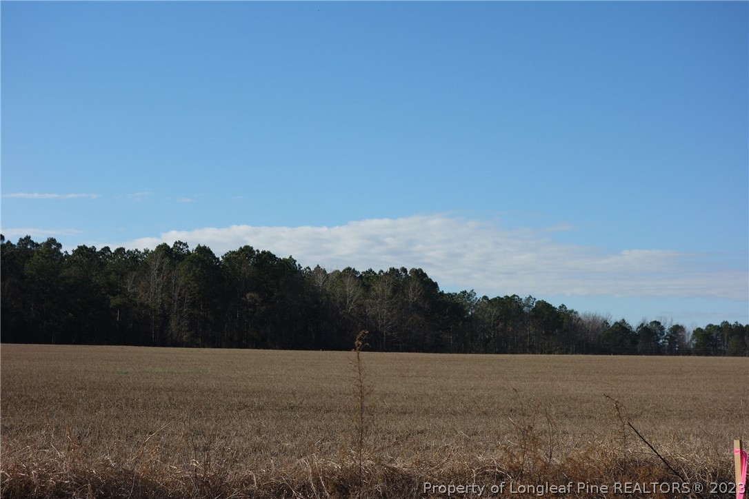 2 Wire Grass Road Orrum, NC 28369 - Photo 1 of 1 a view of a field
