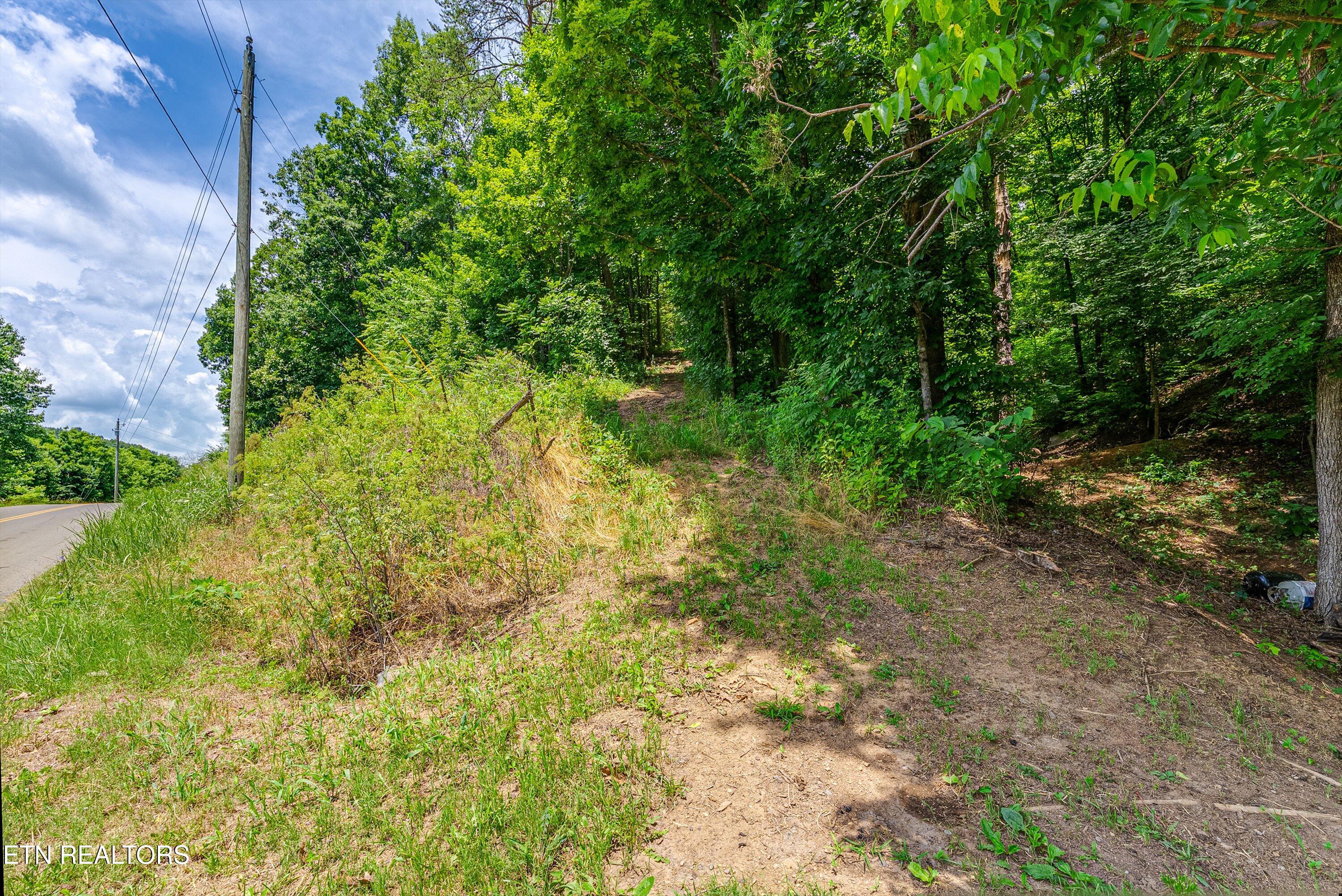 2165 Smelcer Road Parrottsville, TN 37843 - Photo 15 of 18 21-Ground A6