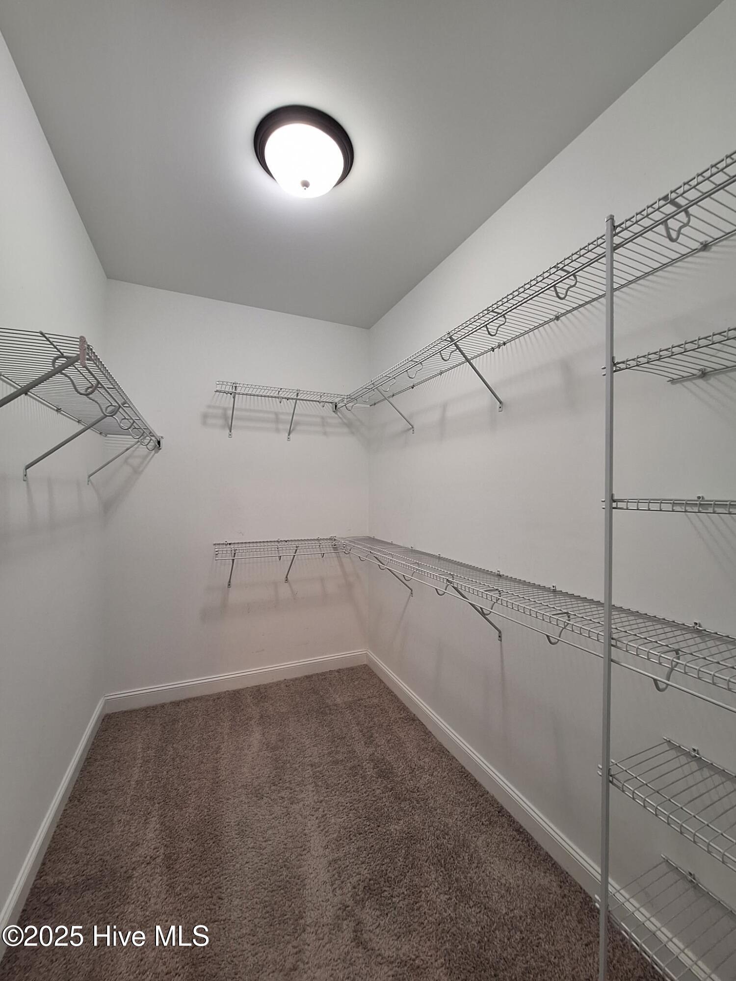 3616 Chesson Court Winterville, NC 28590 - Photo 15 of 23 Chesson Court 3616 (15)