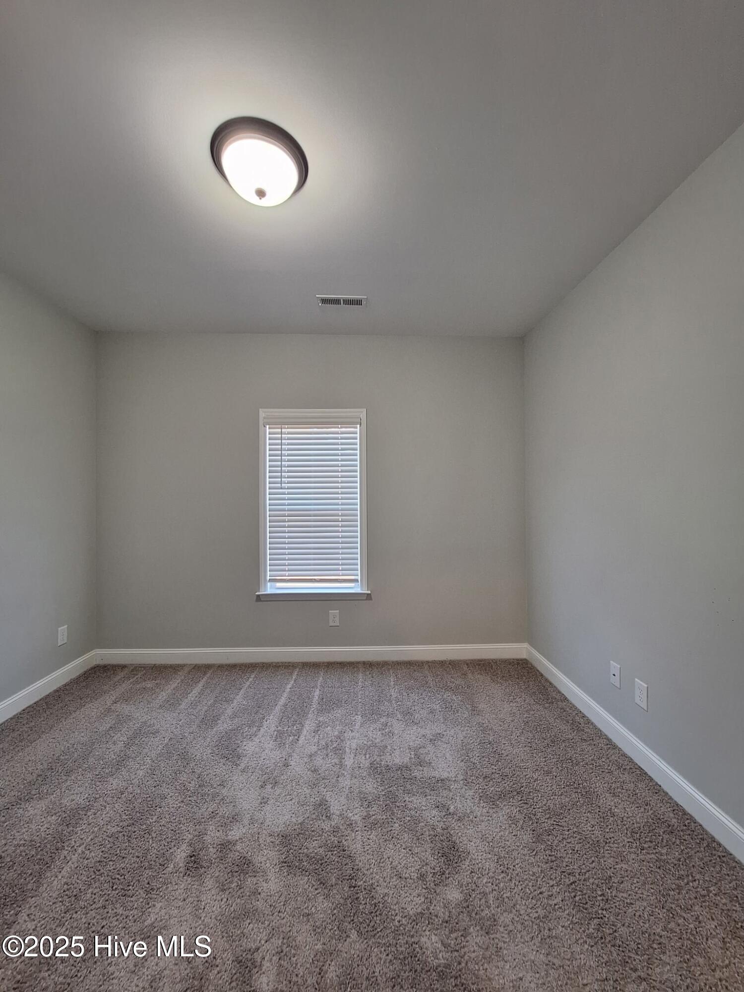 3616 Chesson Court Winterville, NC 28590 - Photo 8 of 23 Chesson Court 3616 (7)