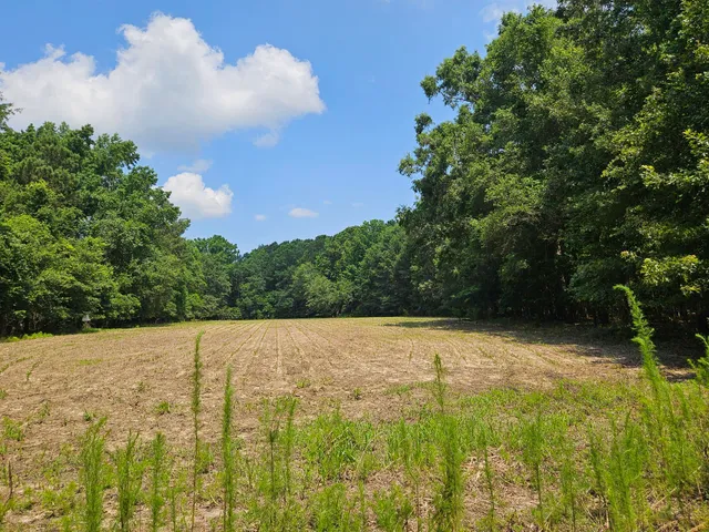 $83,000 | Lot 2 M W Rickenbaker Road, Summerton, SC 29148
