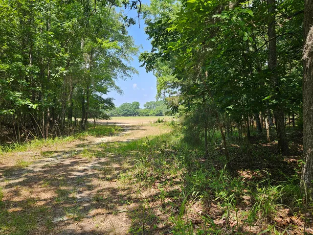 $83,000 | Lot 2 M W Rickenbaker Road, Summerton, SC 29148