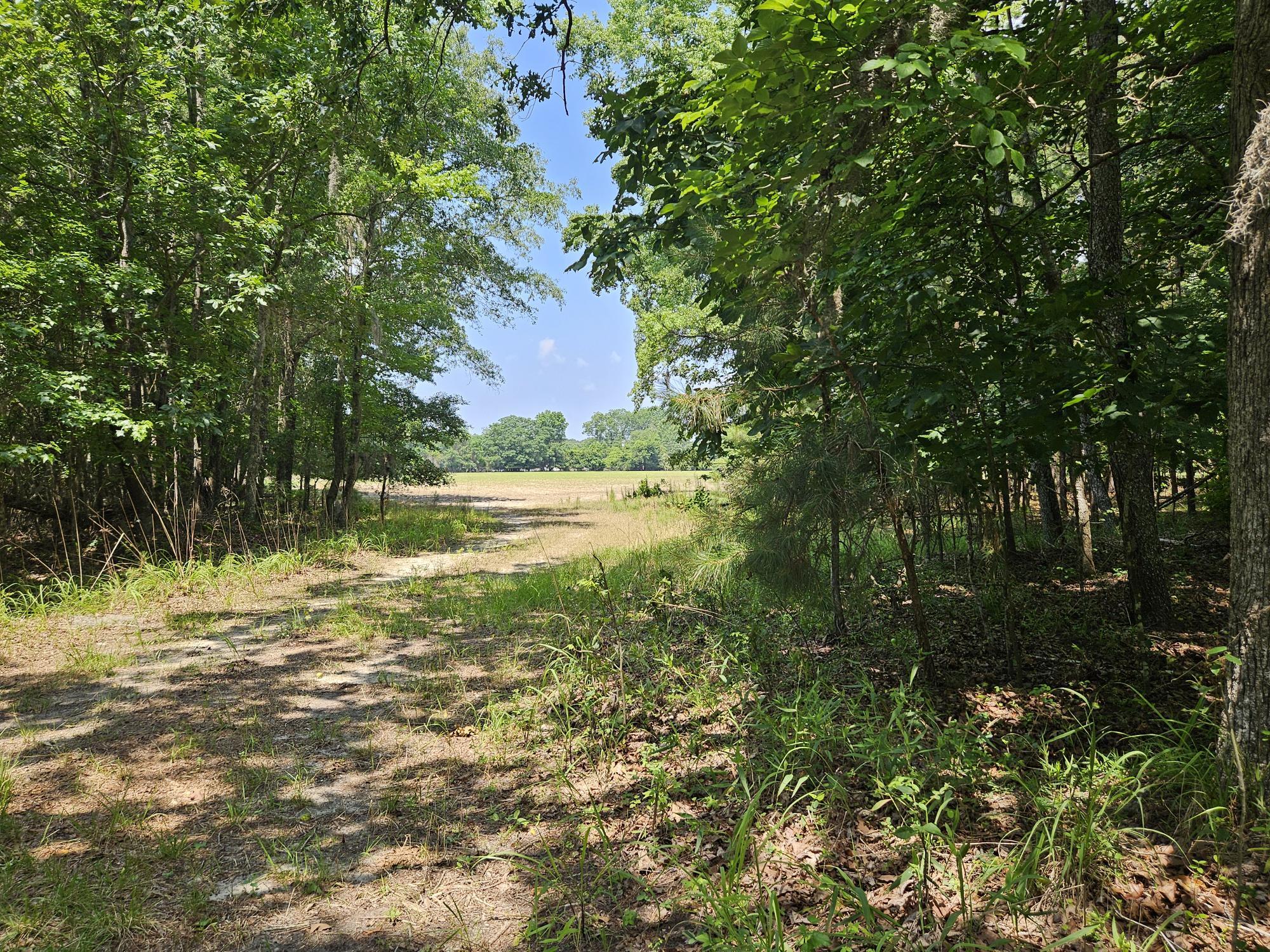 Lot 2 M W Rickenbaker Road Summerton, SC 29148 - Photo 2 of 11 TRAIL TO FIELD
