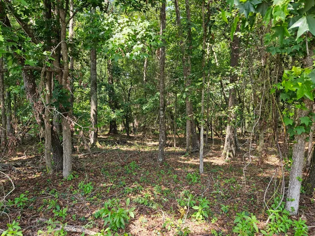 $83,000 | Lot 2 M W Rickenbaker Road, Summerton, SC 29148
