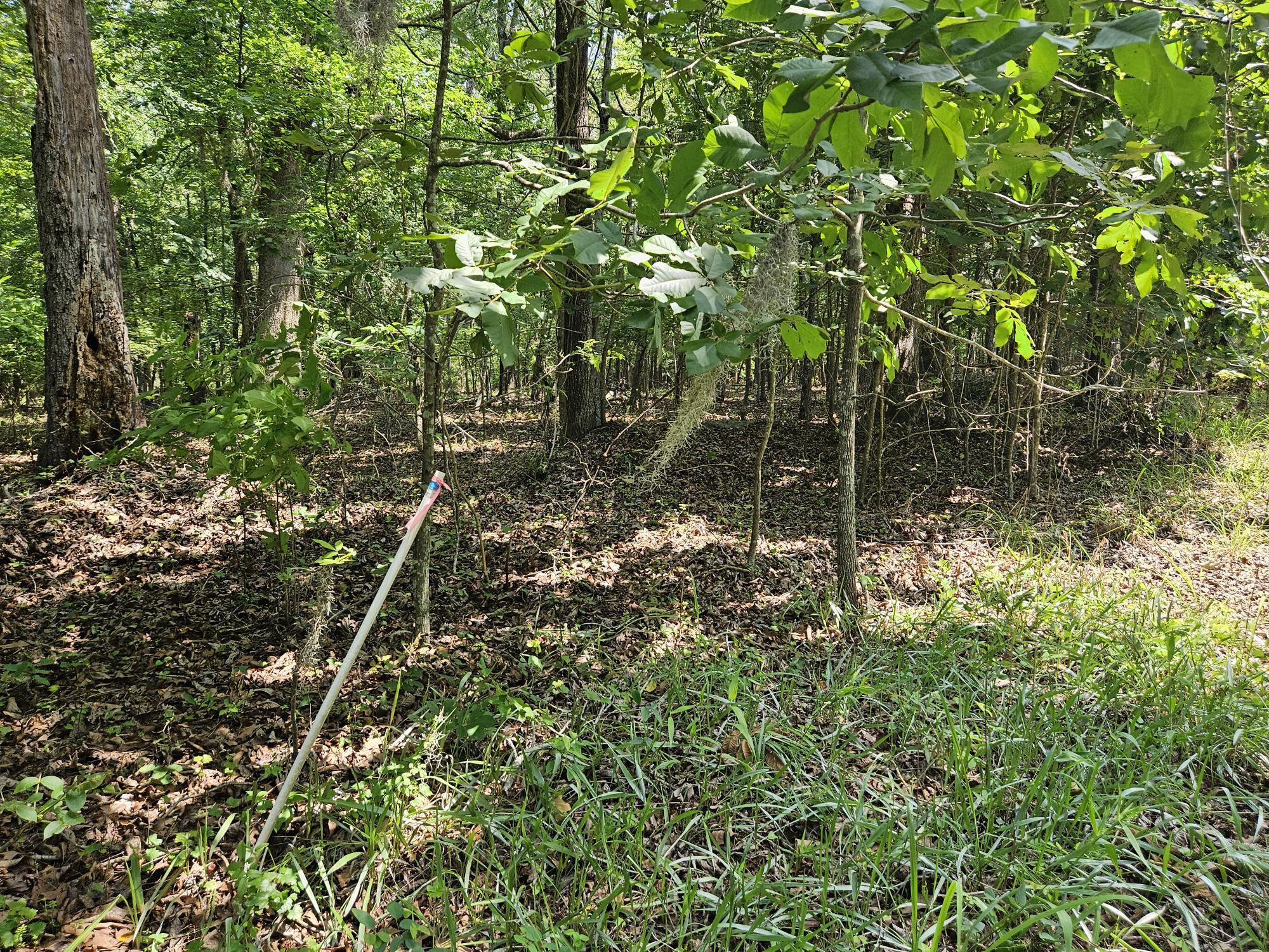 Lot 2 M W Rickenbaker Road Summerton, SC 29148 - Photo 5 of 11 OTHER SURVEY STAKE
