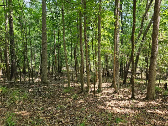 $83,000 | Lot 2 M W Rickenbaker Road, Summerton, SC 29148