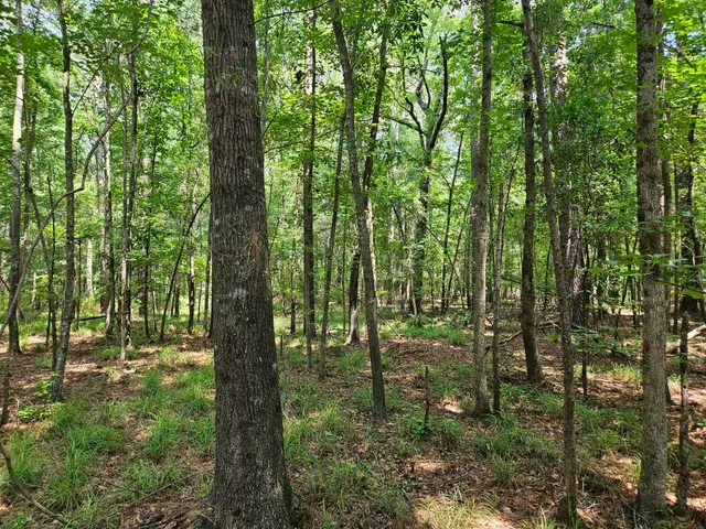 $83,000 | Lot 2 M W Rickenbaker Road, Summerton, SC 29148