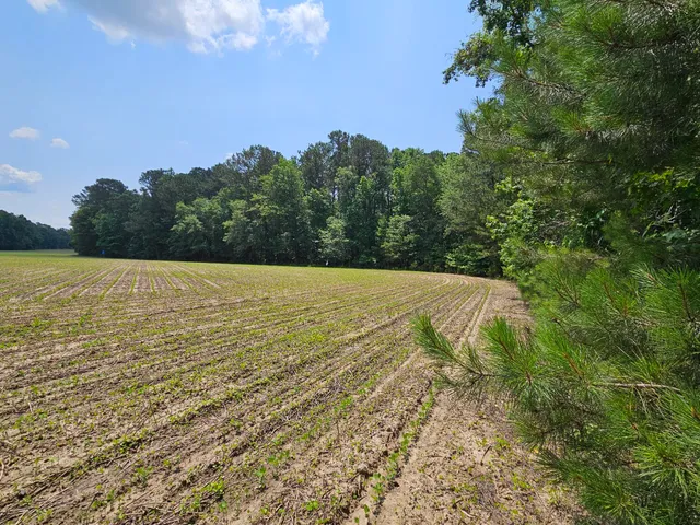 $83,000 | Lot 2 M W Rickenbaker Road, Summerton, SC 29148