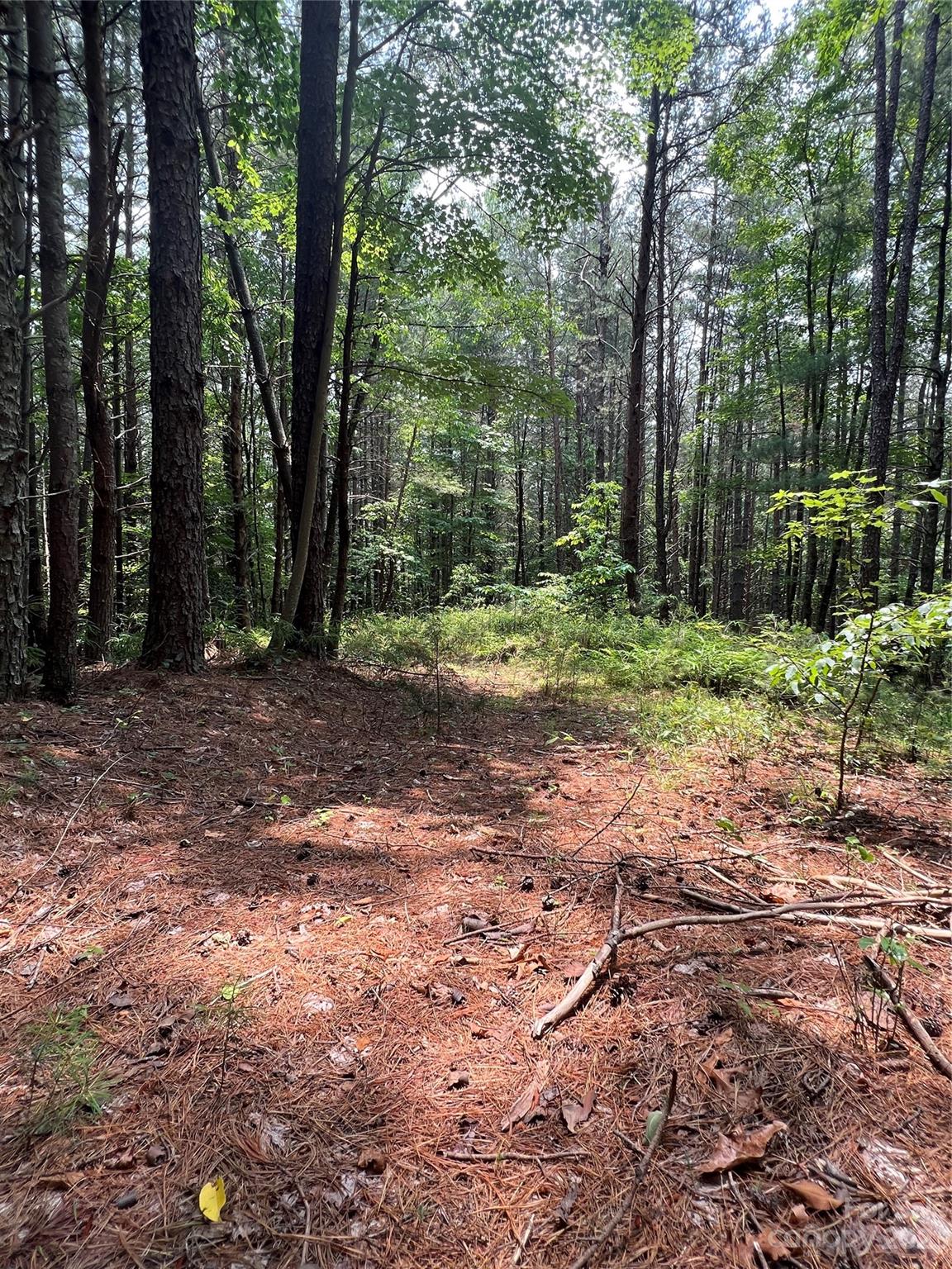 9589 Shortoff View Terrace, Unit 29 Nebo, NC 28761 - Photo 11 of 25 a view of outdoor space with trees