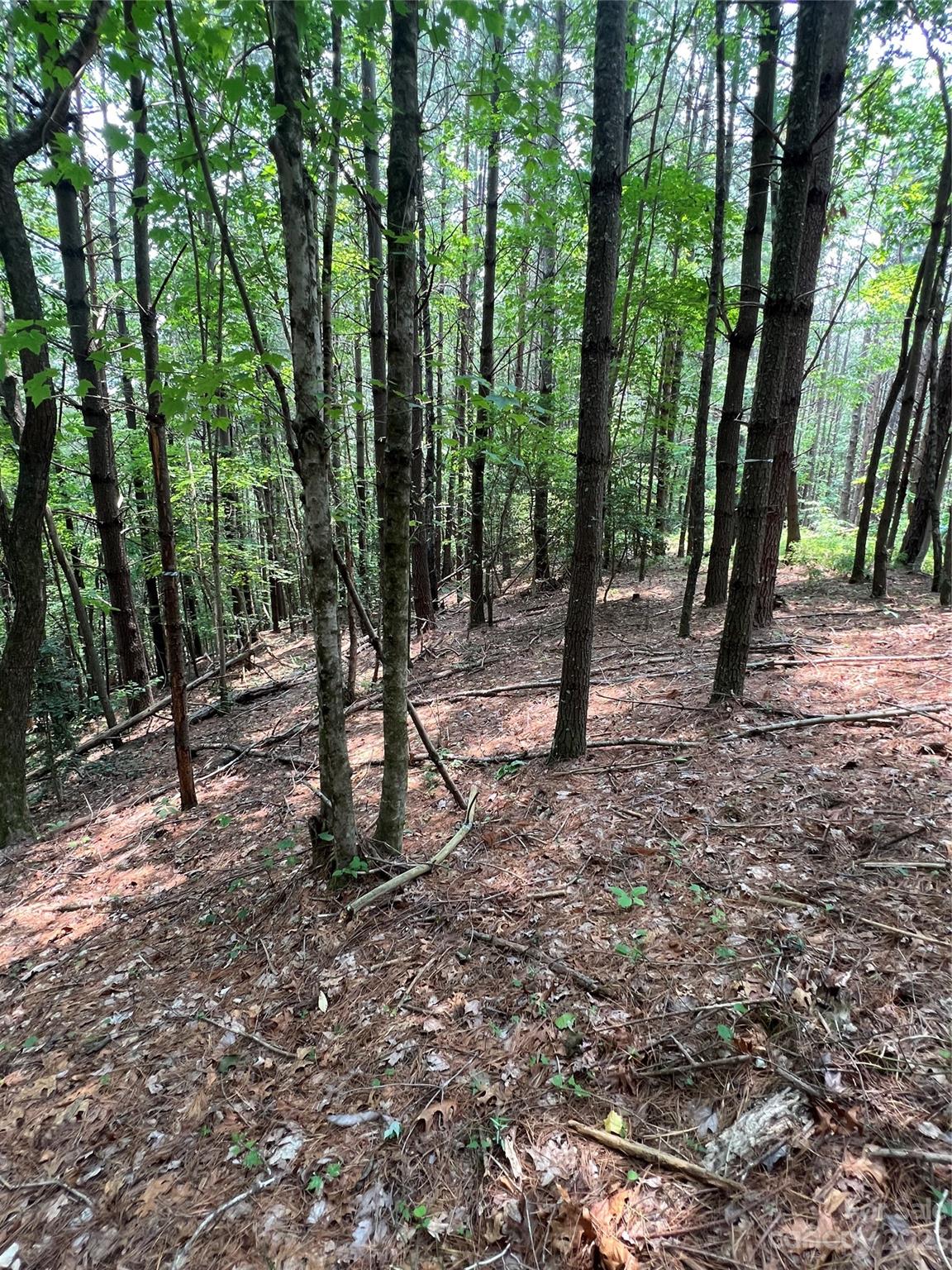 9589 Shortoff View Terrace, Unit 29 Nebo, NC 28761 - Photo 12 of 25 a view of outdoor space with lots of trees