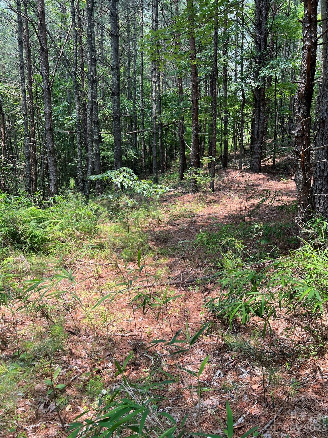 9589 Shortoff View Terrace, Unit 29 Nebo, NC 28761 - Photo 13 of 25 a view of outdoor space with trees