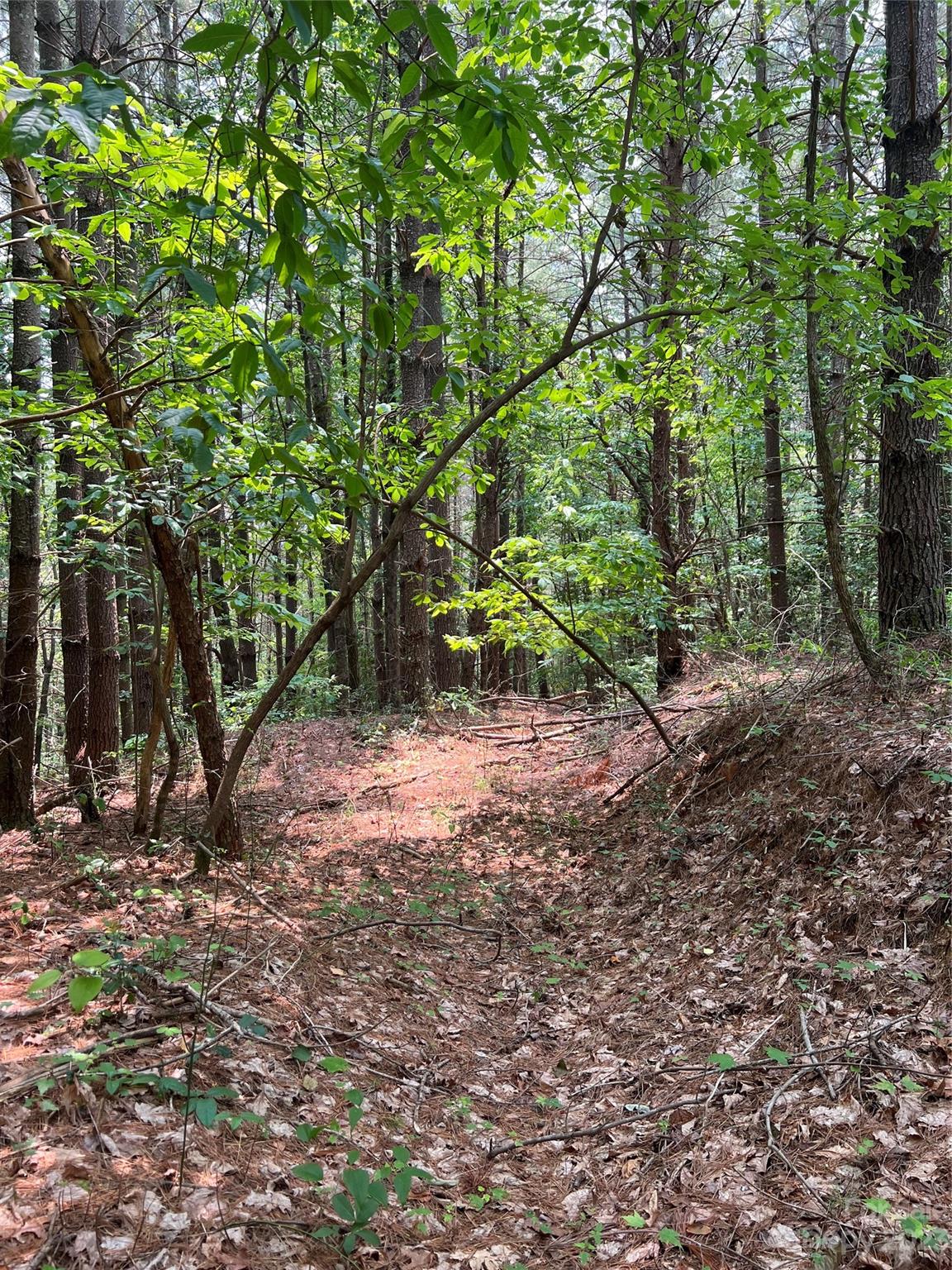 9589 Shortoff View Terrace, Unit 29 Nebo, NC 28761 - Photo 14 of 25 a view of a yard