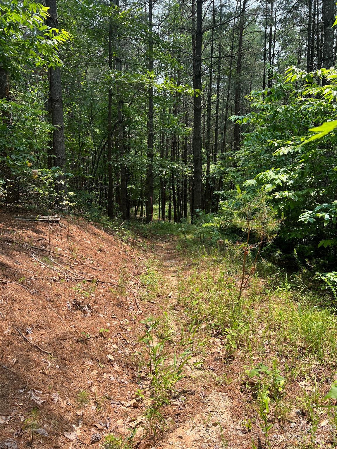 9589 Shortoff View Terrace, Unit 29 Nebo, NC 28761 - Photo 17 of 25 a view of outdoor space and a yard