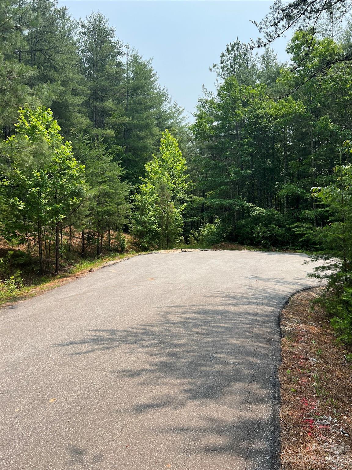9589 Shortoff View Terrace, Unit 29 Nebo, NC 28761 - Photo 18 of 25 a view of yard with large trees