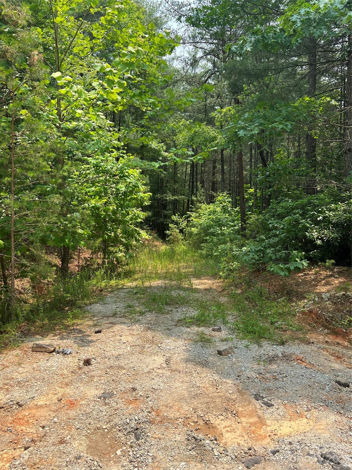 9589 Shortoff View Terrace, Unit 29 Nebo, NC 28761 - Photo 19 of 25 a view of a yard with plants and large trees