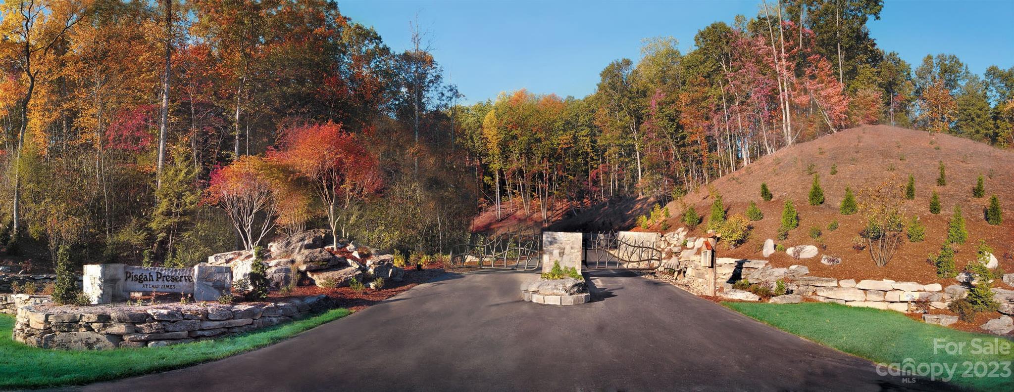 9589 Shortoff View Terrace, Unit 29 Nebo, NC 28761 - Photo 2 of 25 a view of a street with a building and trees in the background