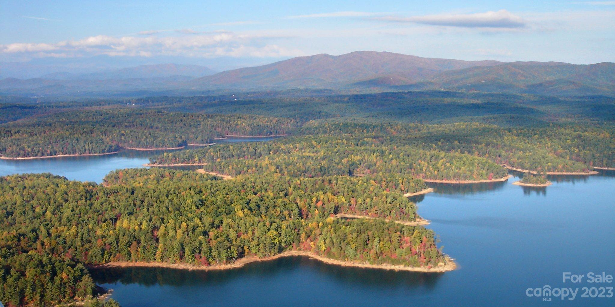 9589 Shortoff View Terrace, Unit 29 Nebo, NC 28761 - Photo 3 of 25 a view of a lake with a mountain in the background